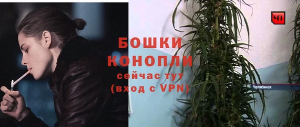 мдпв Мегион
