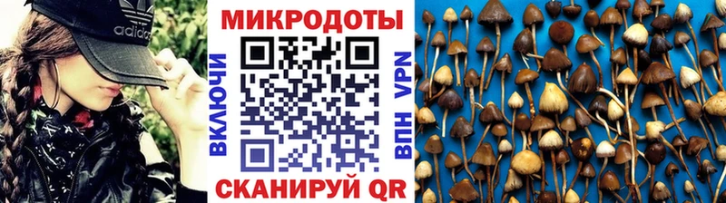 Псилоцибиновые грибы GOLDEN TEACHER  Рыльск 